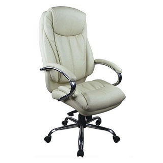 Leather & PU Office Chair 247CC