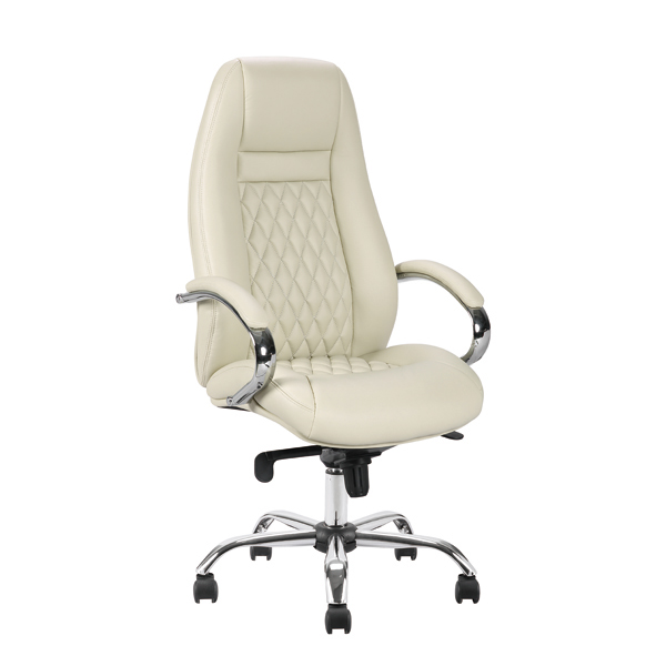 Leather & PU Office Chair 242CC