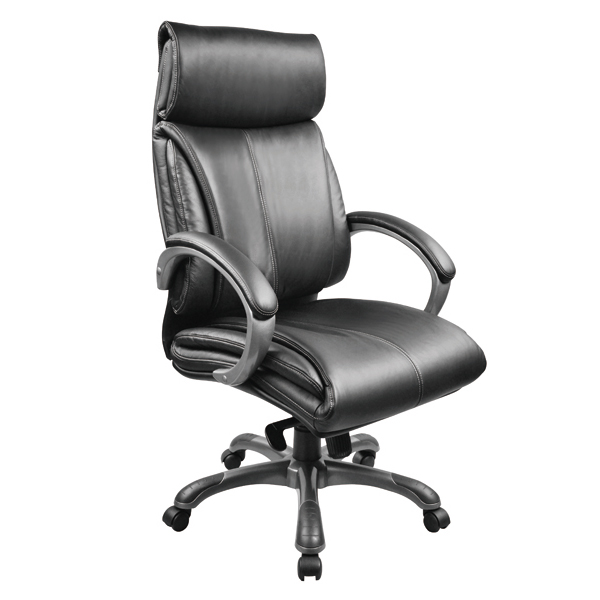 Leather & PU Office Chair 201