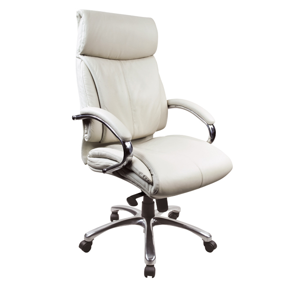 Leather & PU Office Chair 201